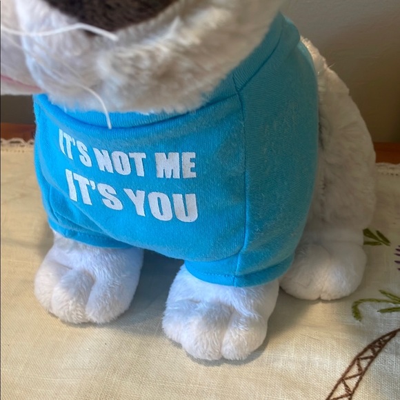 Grumpy Cat Plush Toy with Blue Shirt like new - Picture 3 of 4